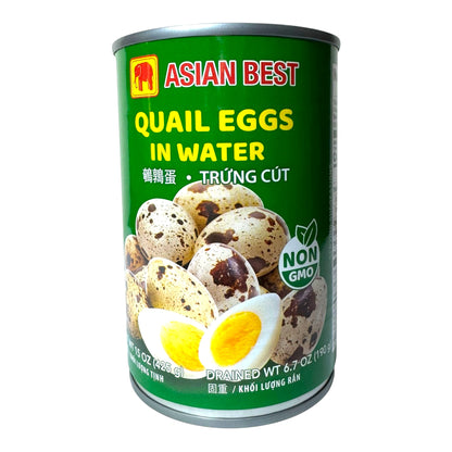 Quail Eggs in Water | Trứng Cút 15 oz (425g)