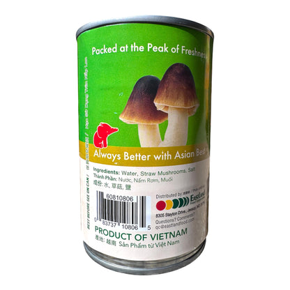 Broken Peeled Straw Mushrooms in Brine/Nam Rom Ngam Nuoc Muoi – 15 oz (425g)